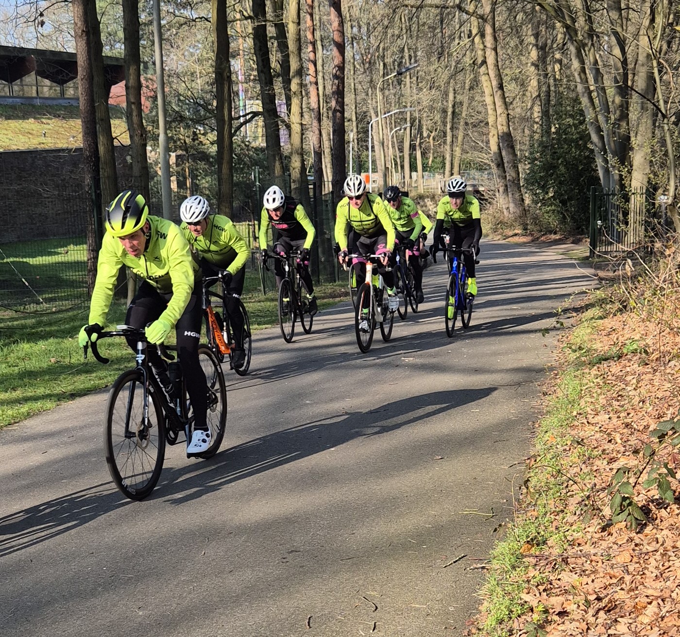 Vrije Training